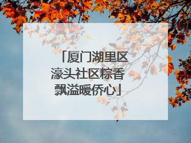 厦门湖里区濠头社区粽香飘溢暖侨心