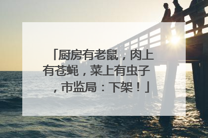 厨房有老鼠，肉上有苍蝇，菜上有虫子，市监局：下架！