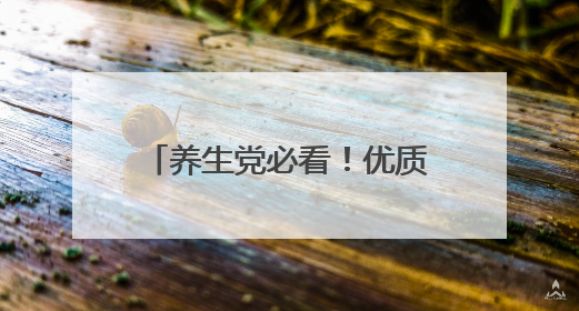 养生党必看！优质高效水飞蓟，营养成分堪称天花板