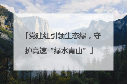 党建红引领生态绿，守护高速“绿水青山”