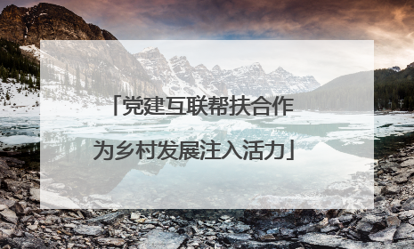 党建互联帮扶合作 为乡村发展注入活力