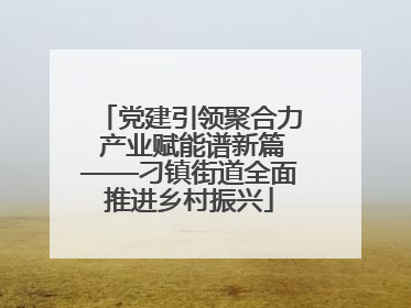 党建引领聚合力 产业赋能谱新篇——刁镇街道全面推进乡村振兴