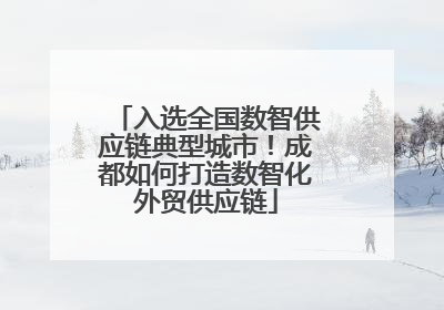 入选全国数智供应链典型城市！成都如何打造数智化外贸供应链