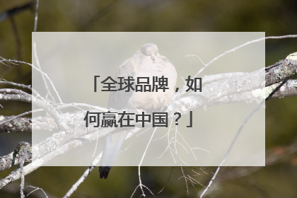 全球品牌，如何赢在中国？