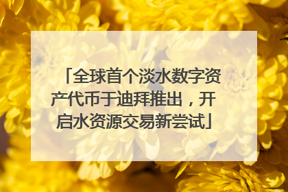 全球首个淡水数字资产代币于迪拜推出，开启水资源交易新尝试