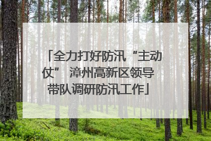 全力打好防汛“主动仗” 漳州高新区领导带队调研防汛工作