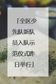 全区少先队新队员入队示范仪式昨日举行