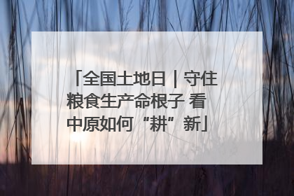 全国土地日｜守住粮食生产命根子 看中原如何“耕”新