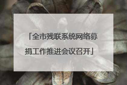 全市残联系统网络募捐工作推进会议召开