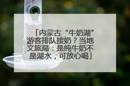 内蒙古“牛奶湖”游客排队接奶？当地文旅局：是纯牛奶不是湖水，可放心喝