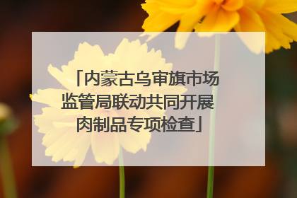 内蒙古乌审旗市场监管局联动共同开展肉制品专项检查