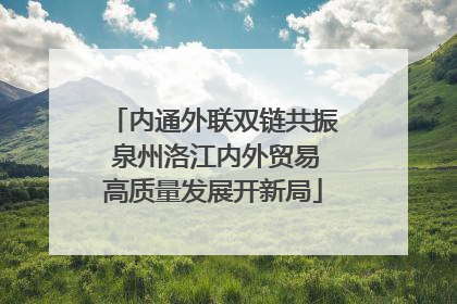 内通外联双链共振 泉州洛江内外贸易高质量发展开新局
