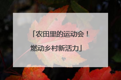 农田里的运动会！燃动乡村新活力