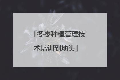 冬枣种植管理技术培训到地头