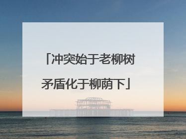 冲突始于老柳树 矛盾化于柳荫下