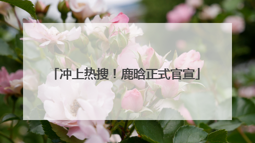 冲上热搜！鹿晗正式官宣