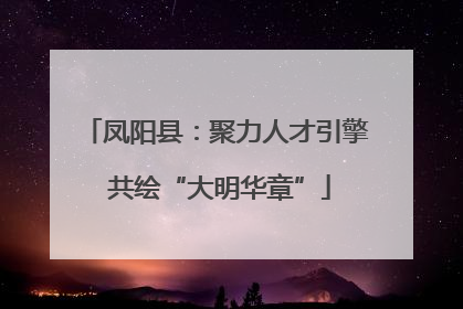 凤阳县：聚力人才引擎 共绘“大明华章”