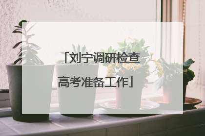 刘宁调研检查高考准备工作