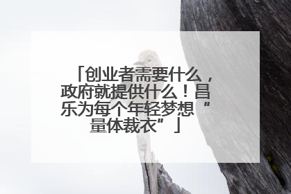创业者需要什么，政府就提供什么！昌乐为每个年轻梦想“量体裁衣”