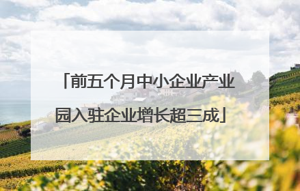 前五个月中小企业产业园入驻企业增长超三成