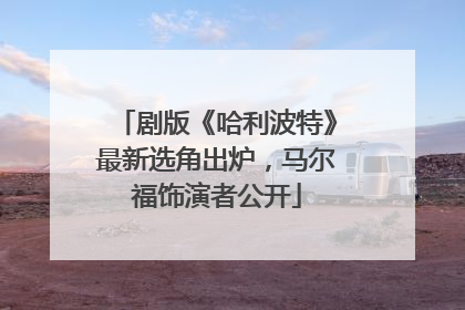 剧版《哈利波特》最新选角出炉，马尔福饰演者公开