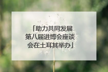 助力共同发展 第八届进博会座谈会在土耳其举办