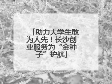 助力大学生敢为人先！长沙创业服务为“金种子”护航