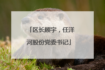 区长顾宇，任洋河股份党委书记