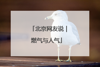 北京网友说｜燃气与人气