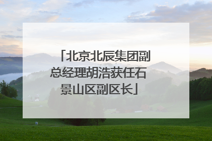 北京北辰集团副总经理胡浩获任石景山区副区长
