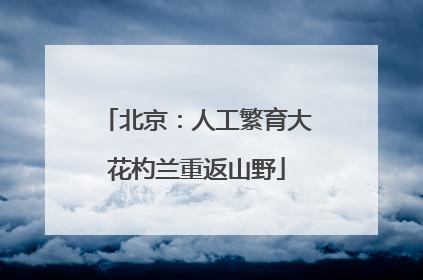 北京：人工繁育大花杓兰重返山野