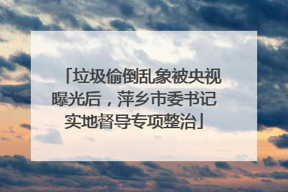 垃圾偷倒乱象被央视曝光后，萍乡市委书记实地督导专项整治