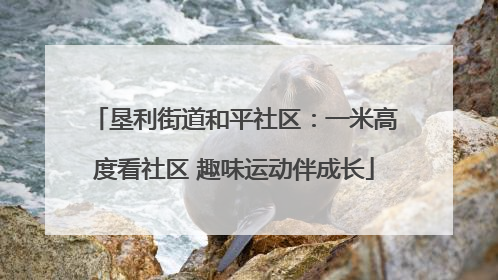 垦利街道和平社区：一米高度看社区 趣味运动伴成长