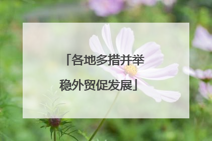 各地多措并举稳外贸促发展