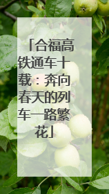 合福高铁通车十载：奔向春天的列车一路繁花