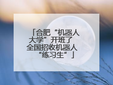 合肥“机器人大学”开班了 全国招收机器人“练习生”