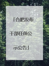 合肥发布干部任前公示公告