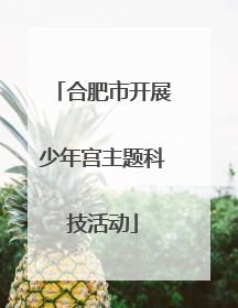 合肥市开展少年宫主题科技活动