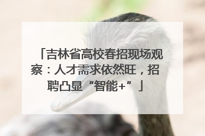 吉林省高校春招现场观察：人才需求依然旺，招聘凸显“智能+”