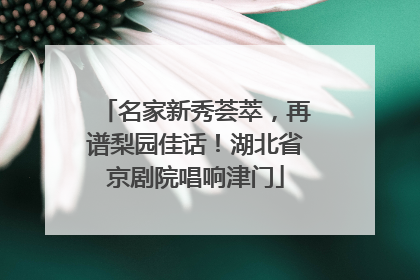 名家新秀荟萃，再谱梨园佳话！湖北省京剧院唱响津门