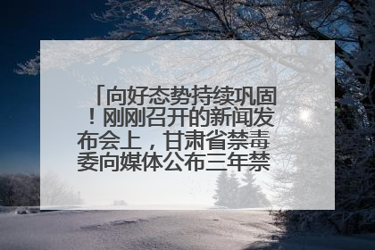 向好态势持续巩固！刚刚召开的新闻发布会上，甘肃省禁毒委向媒体公布三年禁毒工作“成绩单”