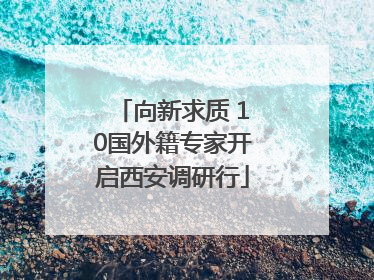 向新求质 10国外籍专家开启西安调研行