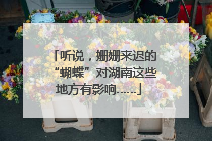 听说，姗姗来迟的“蝴蝶”对湖南这些地方有影响……