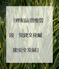 呼和运营维管段：党建文化赋能安全发展