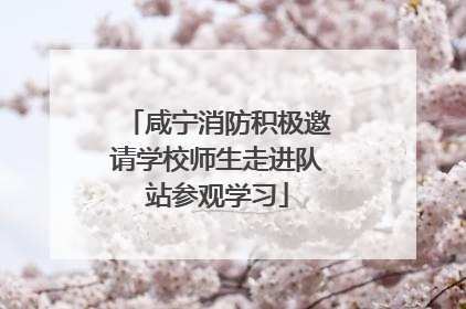 咸宁消防积极邀请学校师生走进队站参观学习