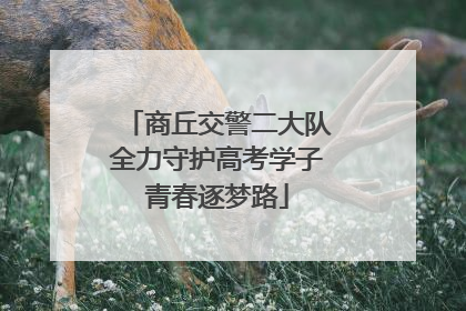 商丘交警二大队全力守护高考学子青春逐梦路