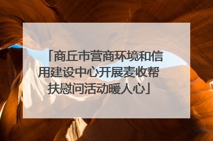 商丘市营商环境和信用建设中心开展麦收帮扶慰问活动暖人心