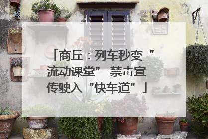 商丘：列车秒变“流动课堂” 禁毒宣传驶入“快车道”
