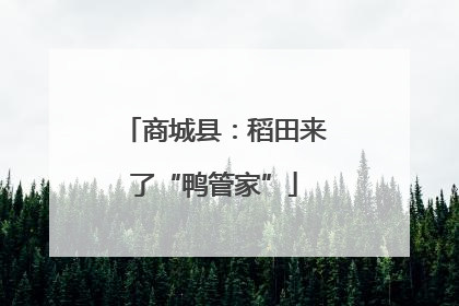 商城县：稻田来了“鸭管家”