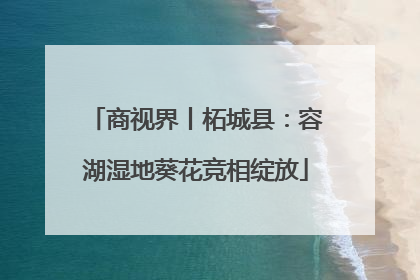 商视界丨柘城县：容湖湿地葵花竞相绽放